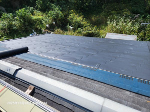 20251028_114404 20251028_114404.jpg