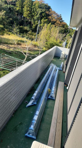 1762471428026 1762471428026.jpg