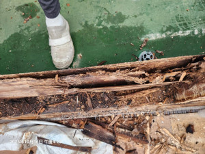 20251016_162347 20251016_162347.jpg