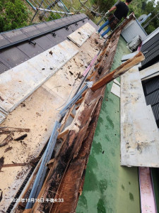 20251016_163312 20251016_163312.jpg