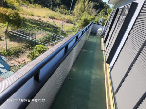 20251107_112100 20251107_112100.jpg