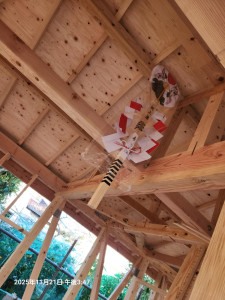 20251121_154705 20251121_154705.jpg