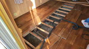 1766446539871 1766446539871.jpg