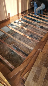 1766448014576 1766448014576.jpg