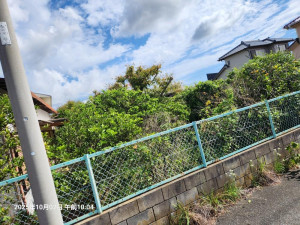 20251002_100456 20251002_100456.jpg