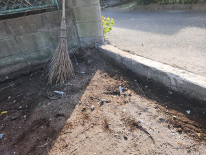 20251202_113636 20251202_113636.jpg