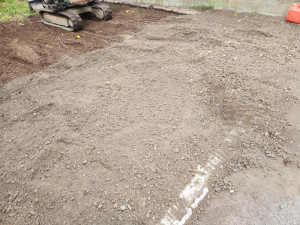 20251203_082410 20251203_082410.jpg