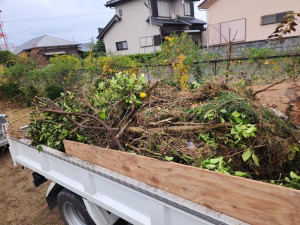 20251203_082649 20251203_082649.jpg