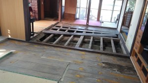 IMG00950