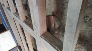 IMG00952