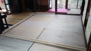 IMG00954