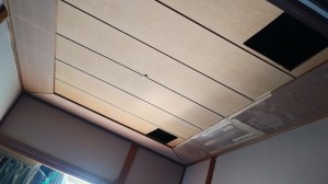 IMG01340.jpg