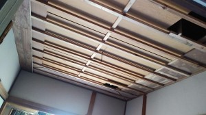 IMG01341.jpg
