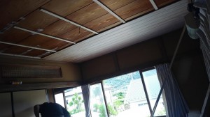 IMG01352.jpg