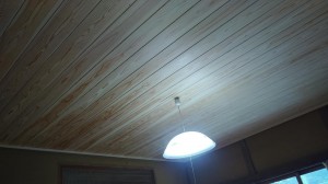 IMG01354.jpg