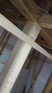 IMG01499 IMG01499.jpg