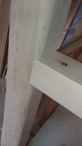 IMG01512 IMG01512.jpg