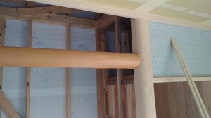 IMG01515 IMG01515.jpg