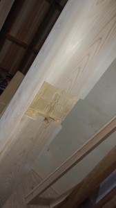 IMG01511 IMG01511.jpg