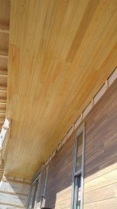 IMG01645 IMG01645.jpg