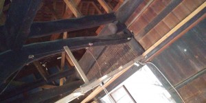 IMG01906 IMG01906.jpg
