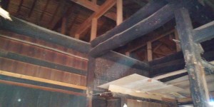IMG01907 IMG01907.jpg